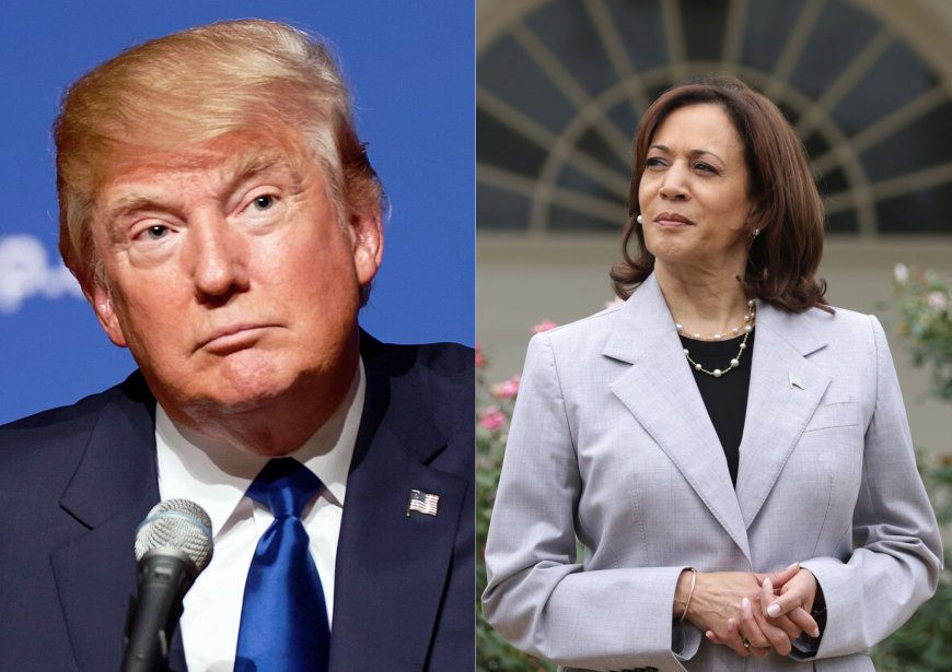 கமலா ஹாரிஸ் vs டிரம்ப் விவாதம் | Donald Trump and Kamala Harris agree to debate, US network ABC says