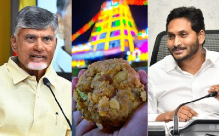 திருப்பதி லட்டில் விலங்கு கொழுப்பு - சந்திரபாபு நாயுடு அதிரடி! Chandrababu Naidu | Tirupati Laddu