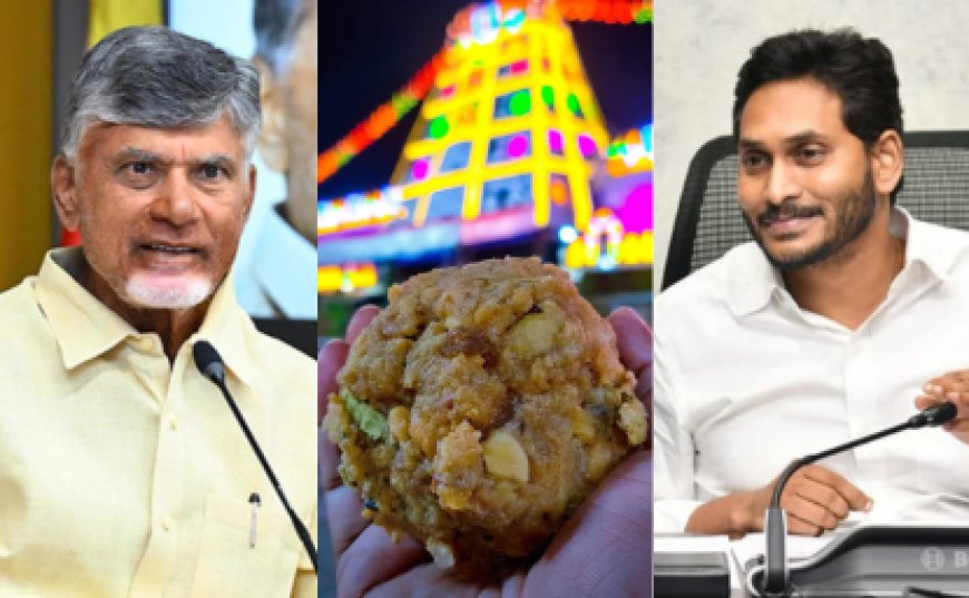 திருப்பதி லட்டில் விலங்கு கொழுப்பு - சந்திரபாபு நாயுடு அதிரடி! Chandrababu Naidu | Tirupati Laddu