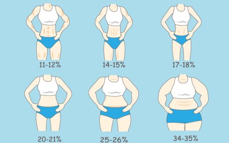 வயிற்றுப்பகுதியில் அதிகபடியாக கொழுப்புகள் சேரக் காரணங்கள் என்னென்ன? Main Reasons for Belly Fat Gain Explained