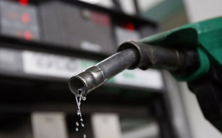பாகிஸ்தானில் எரிபொருள் நெருக்கடி: பெட்ரோல்-டீசல் விலை உயர்வு, பள்ளிகள் மூடல்