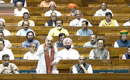 தொகுதி மறுவரையறை வாக்கெடுப்பு - பாஜகவுக்கு ஆதரவு!