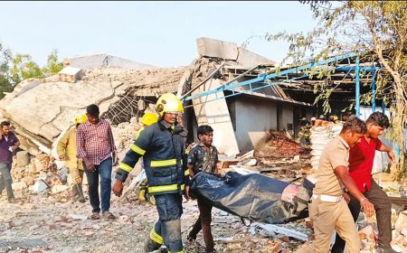 உயரும் பலி எண்ணிக்கை – மதுரை அமர்வில் முறையீடு